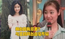 娱乐大爆料董洁视频,娱乐大爆料背后的真相与情感纠葛